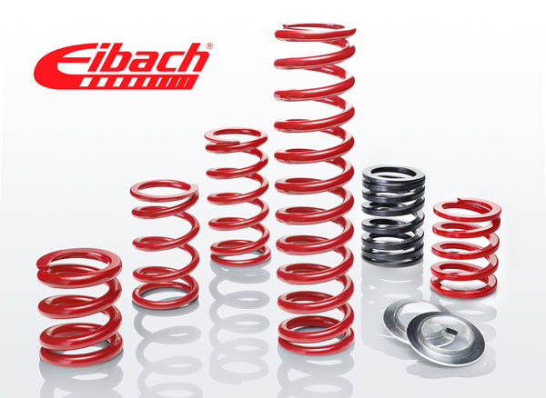 Eibach ERS Motorsport Coil Springs Metric 200mm Long/60mm ID